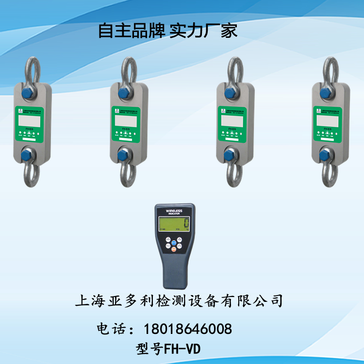 FH 系列 30t 高精度測力儀 創(chuàng)新結(jié)構(gòu) 適應(yīng)惡劣工況